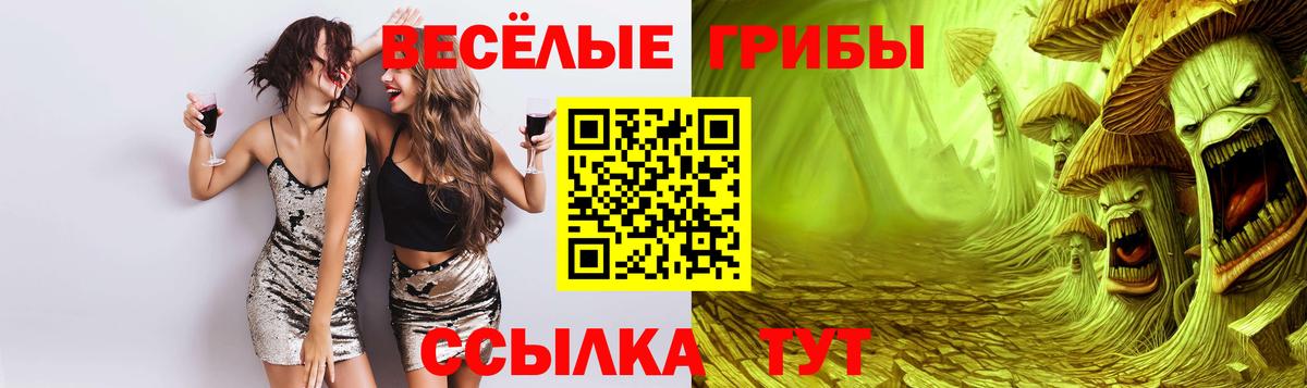 где купить   Вход с VPN  Миллерово  Галлюциногенные грибы Psilocybe 